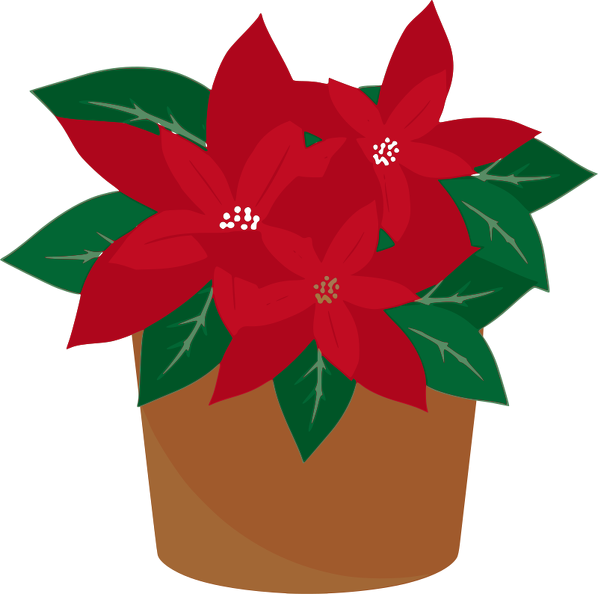 poinsettia.png
