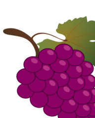 grape 01