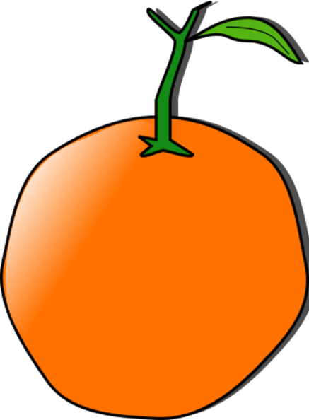 orange 04