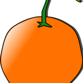 orange 04