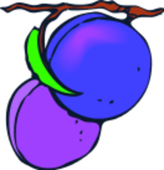 two-plums.png