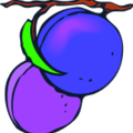 two-plums