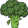 broccoli3
