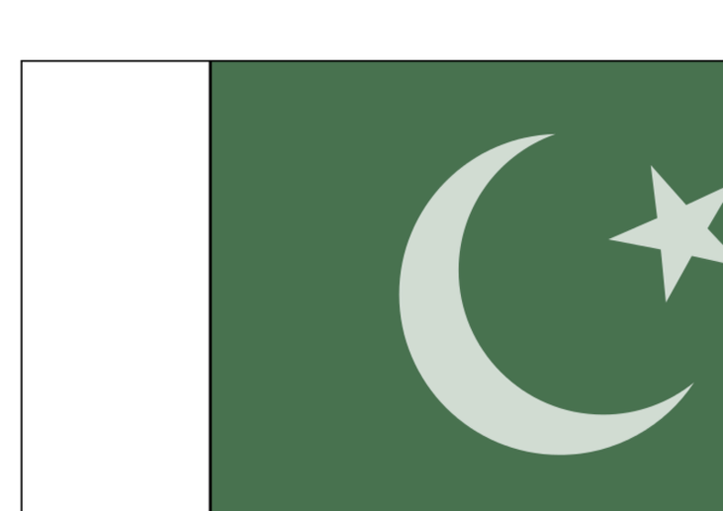 pakistani official flag 01