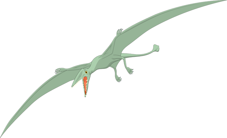 pterodactyl.png