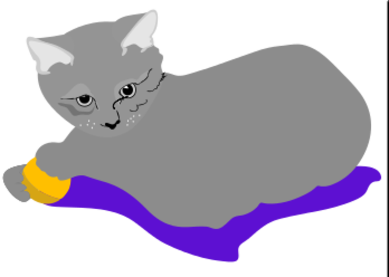 cat_with_toy.png