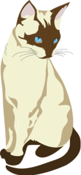 white-cat.png