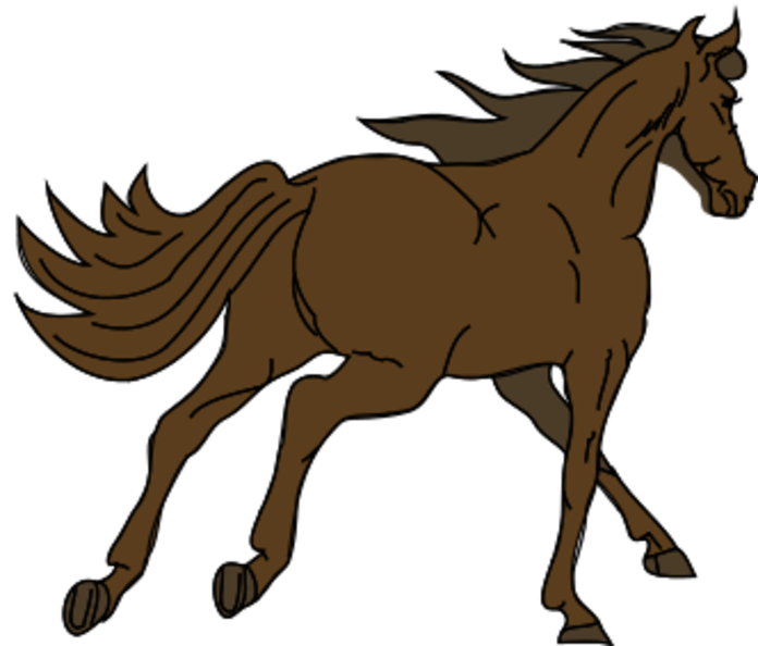 brown-horse