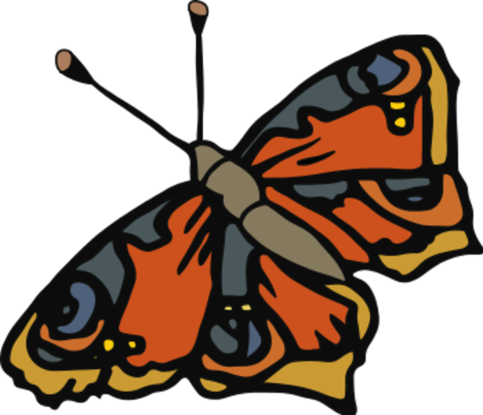 colored-butterfly.png