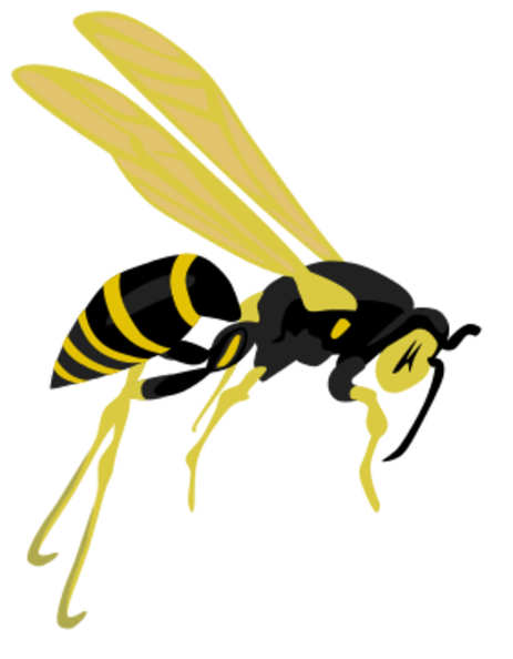 flying_wasp.png