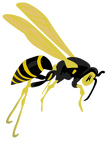 flying wasp