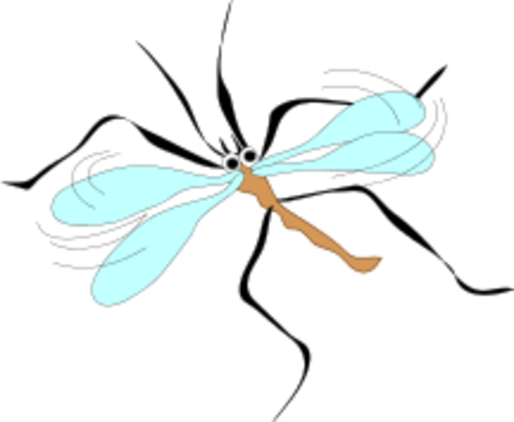 mosquito2.png