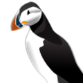 puffin-md
