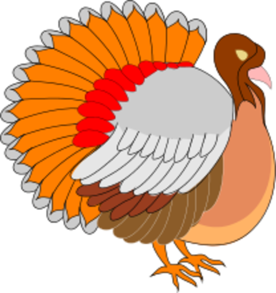 turkey2.png