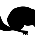 chipmunk silhouette