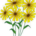 flowers_jonathan_dietric_01.png