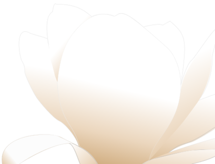 magnolia white patricia  01