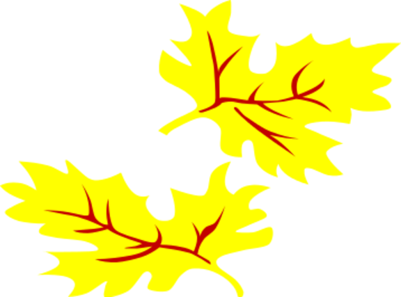 fall coloured leaf geral 02