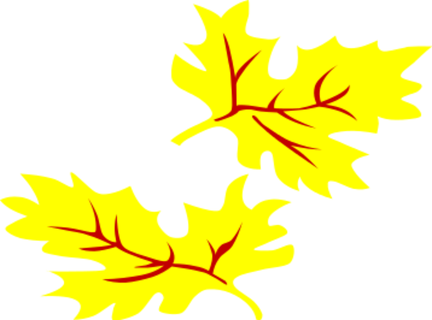 fall coloured leaf geral 02