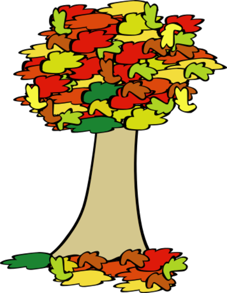 fall_coloured_tree_geral_01.png