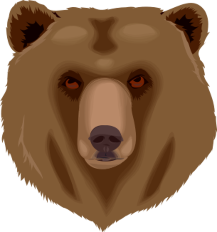 bear head