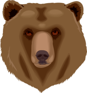 bear head