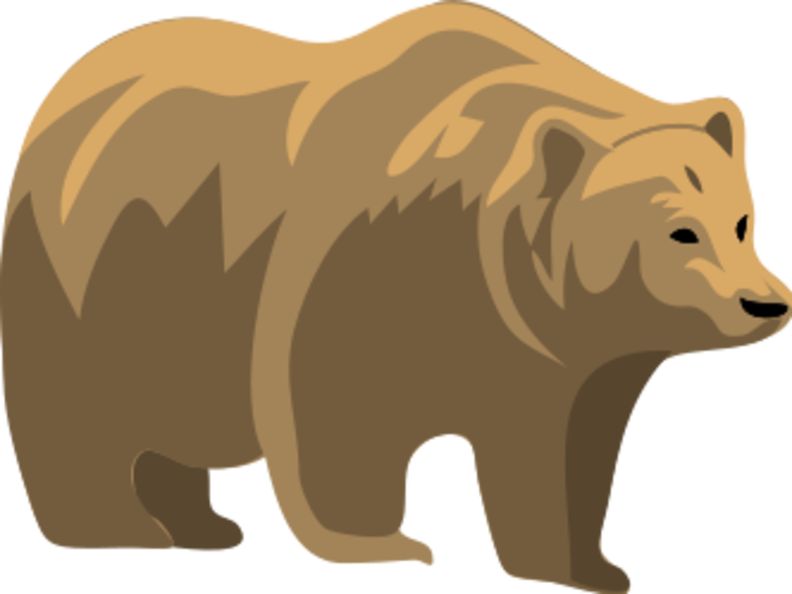 brown-bear.png