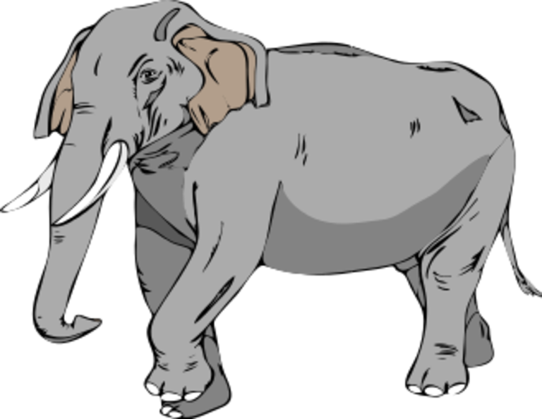 elephant2.png