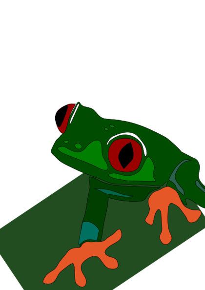 red-eye frog