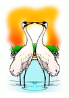 normal valentine two Love Whooping Cranes