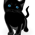 black-cat-2