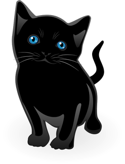 black-cat-2