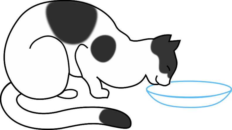 cat-drinking.png