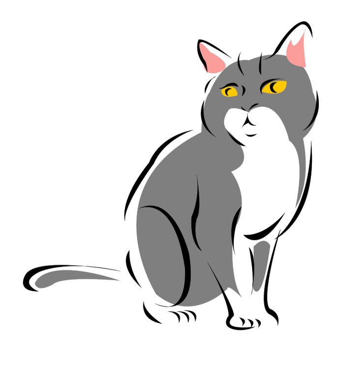 grey-cat