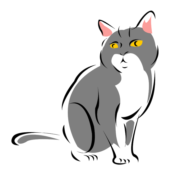 grey-cat.png