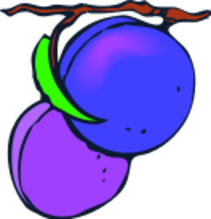 two-plums