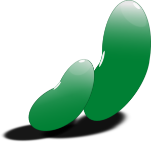 green-beans.png