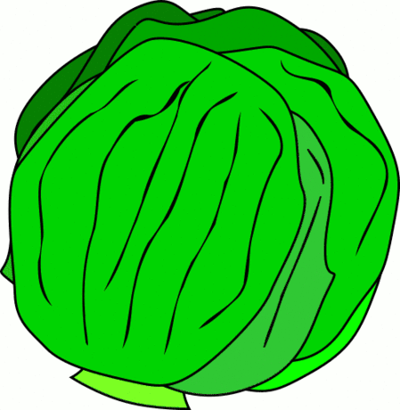 lettuce2.png