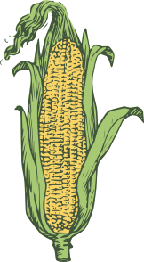 realistic-corn.png