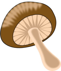 wild-mushroom