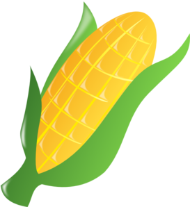 yellow-corn.png
