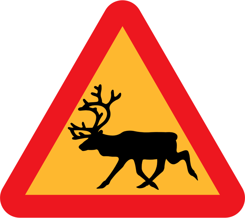 moose-crossing