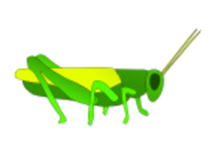 grass hopper 02