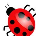 ladybug 01