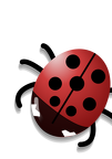 ladybug 02