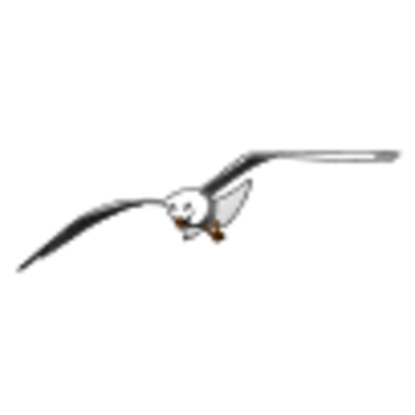 seagull2.png