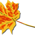 fall coloured leaf geral 01