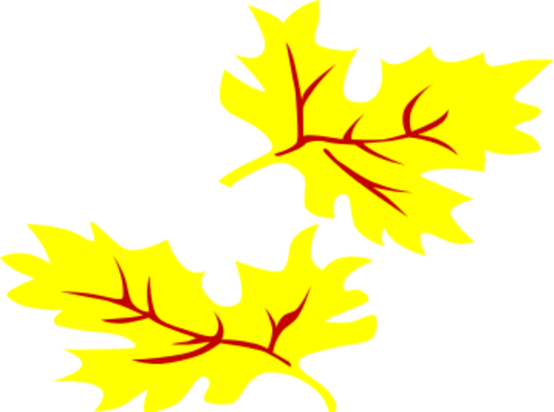 fall_coloured_leaf_geral_02.png