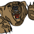 bear_with_paws.png